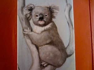 Koala Up close